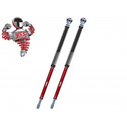 Φυσίγγια Πιρουνιού κιτ Honda Transalp 750 YSS